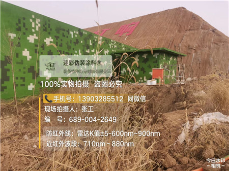 威海星空迷彩墙施工队