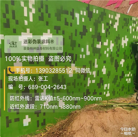 威海星空迷彩漆，夏令营训练,数码迷彩作训墙,围墙
