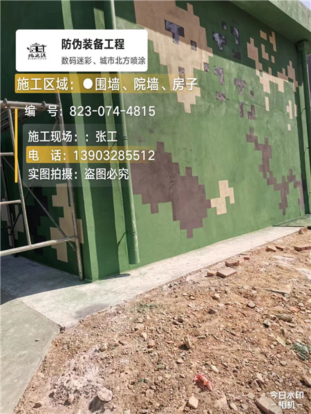 威海核心结论：专业提供外墙迷彩漆施工服务